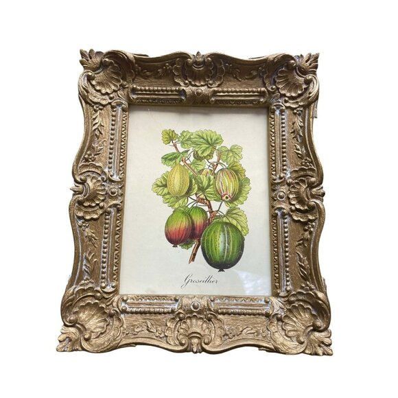 Vtg Burwood Botanical Fruit Prints Set 4 Ornate Gold Frame Hollywood Regency 60s - Picture 2 of 6